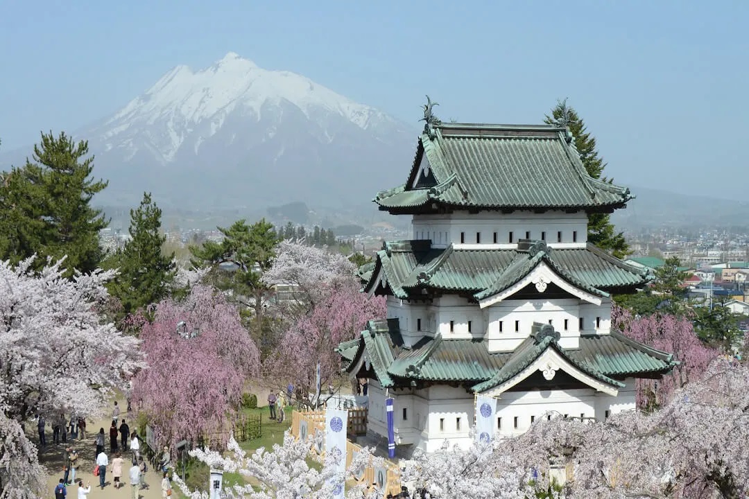 Hoa anh đào ở Công viên Hirosaki thuộc tỉnh Aomori vùng Tohoku hoa-anh-dao-hirosaki
